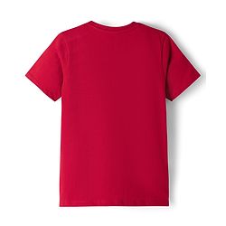 Pine Kids Disney Single Jersey Knit Half Sleeves T-Shirt with  Minnie Mouse & Friends Graphic - Maroon