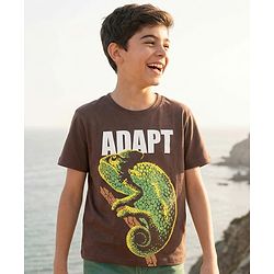 Pine Kids Cotton Knit Half Sleeves T-Shirt With Chameleon Print - Brown