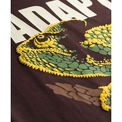Pine Kids Cotton Knit Half Sleeves T-Shirt With Chameleon Print - Brown