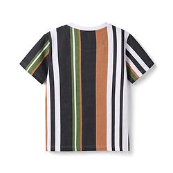 Pine Kids Cotton Knit Striped Round Neck Half Sleeves  T-Shirts - Multicolor