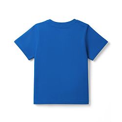 Pine Kids Cotton Knit Half Sleeves T-Shirt With Dino Print - Blue