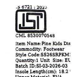 Pine Kids Disney Slip On Flip Flops with Disney Princess Print - Purple
