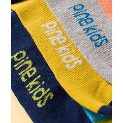 Pine Kids Cotton Knit Ankle Length Socks With Stripes & Text Design Pack Of 3 ( Colour May Vary )