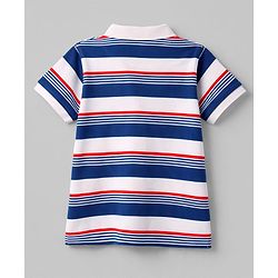 Pine Kids Cotton Knit T-Shirt Striped Polo Neck Half Sleeves Multi Color 5-6 Years