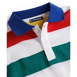 Pine Kids Cotton Knit T-Shirts Striped Polo Neck Half Sleeves Multi Color 4-5 Years