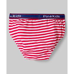 Pine Kids Cotton Elastane Knit Printed Briefs Pack of 3 - Multicolor
