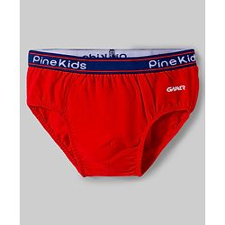 Pine Kids Cotton Elastane Knit Printed Briefs Pack of 3 - Multicolor