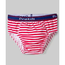 Pine Kids Cotton Elastane Knit Printed Briefs Pack of 3 - Multicolor