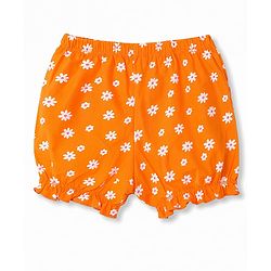 Pine Kids Cotton Lycra Knit Bloomers With Floral & Star Print  Pack of 3 - Multicolor