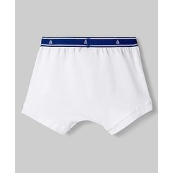 Pine Kids Cotton Elastane Knit Printed Trunks Pack of 3 - Multicolor