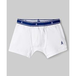 Pine Kids Cotton Elastane Knit Printed Trunks Pack of 3 - Multicolor