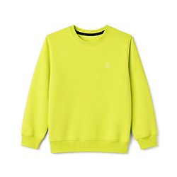 Pine Kids Knit Full Sleeves Solid Sweatshirt - Limegreen