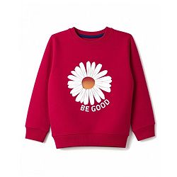 Pine Kids Knit Full Sleeves Sweatshirt with Floral Print -  Red