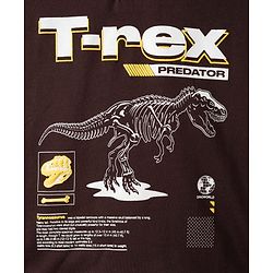 Pine Kids Cotton Knit Hooded Sweatshirt T-Rex Print Brown 4-5 Years