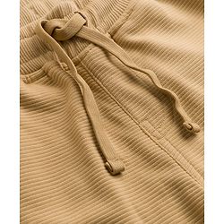 Pine Kids Cotton Knit Full Length Lounge & Track Pants Solid With Embroidery - Beige