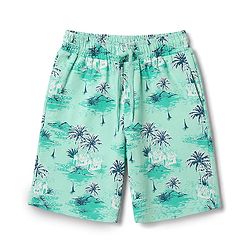 Pine Kids Cotton Knit Half Sleeves T-Shirt & Shorts Set with Tropical Theme Print - Teal Blue