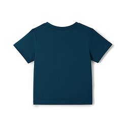 Pine Kids Cotton Knit Half Sleeves T-Shirt & Shorts Set with Tropical Theme Print - Teal Blue