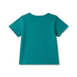 Pine Kids Cotton Knit Half Sleeves T-Shirt & Shorts Set with Tropical Theme Print - Green