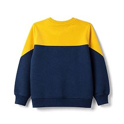 Pine Kids Cotton Mix Knit Sweatshirt with Full Sleeves and Maverick Print in Navy Blue