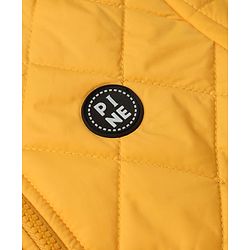 Pine Kids Woven Jacket with Full Sleeves in Golden for 4-5 Years