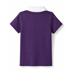 Pine Kids Cotton Lycra Knit Polo Top with Half Sleeves - Purple