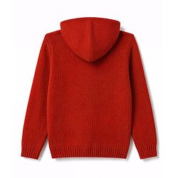 Pine Kids Knit Full Sleeves Solid Colour Hooded Front Open Sweater With Cable Knit Design - Rust Orange