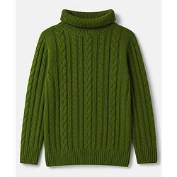 Pine Kids Knit Full Sleeves Pullover Sweater With Cable Knit Design - Green
