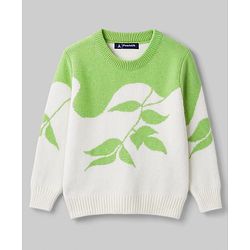 Pine Kids Knit Full Sleeves Leafy Designed Pullover - Light Green