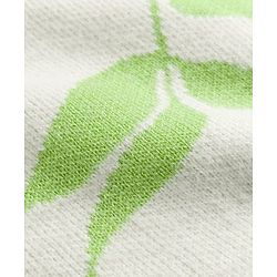 Pine Kids Knit Full Sleeves Leafy Designed Pullover - Light Green