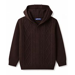 Pine Kids Knit Full Sleeves Hooded Solid Colour Sweater Set With Cable Knit Design- Brown