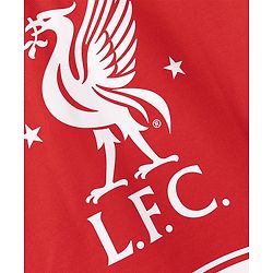 Pine Active Knit Drop Shoulder Half Sleeves Printed T-Shirt & Shorts Football Set - Red