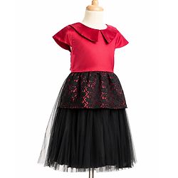 Pine Kids Mesh Woven Half Sleeves Peter Pan Collared Party Dress With Floral Lace Detailing - Dark Pink