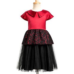 Pine Kids Mesh Woven Half Sleeves Peter Pan Collared Party Dress With Floral Lace Detailing - Dark Pink