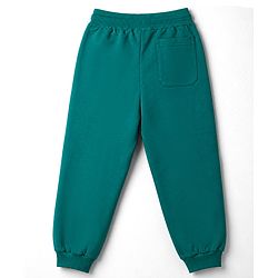 Pine Kids 100% Cotton Knit Full Sleeves Text Printed Winter Wear Set - Green