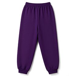 Pine Kids Looper Knit Full Sleeves Text Printed Winter Wear Suit - Purple