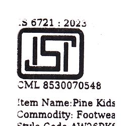 Pine Kids Slip On Striped Flip Flops With Text Print - Black