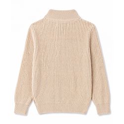 Pine Kids Knit Full Sleeves Solid Colour High Neck Pullover- Beige