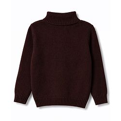 Pine Kids Knit Full Sleeves Solid Colour Pullover - Brown
