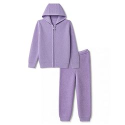 Pine Kids Knit Full Sleeves Solid Sweater Set - Purple
