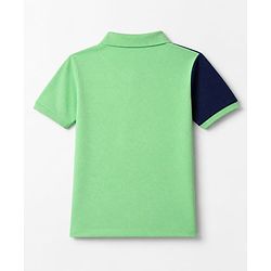 Pine Kids Cotton Knit T-Shirts with Half Sleeves and Limitless Text Print - Light Green