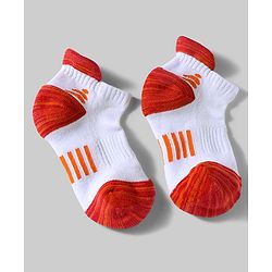 Pine Active Cotton Lycra Knit Terry Breathable Ankle Length Athletic Socks Pack of 3 - White, Red & Light Blue