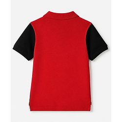Pine Kids 100% Cotton Knit Regular Half Sleeves Collar T-shirt With Spiderman Text Print - Red