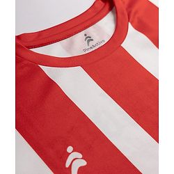 Pine Active Knit Half Sleeves Striped & Champions Lead Forward T-Shirt - Red