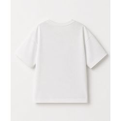 Pine Kids Marvel Cotton Single Jersey Knit T-Shirt Half Sleeves With Spider Man Print - White