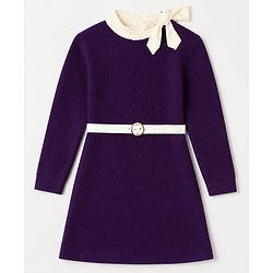 Pine Kids Knit Woolen Dress with Full Sleeves - Purple