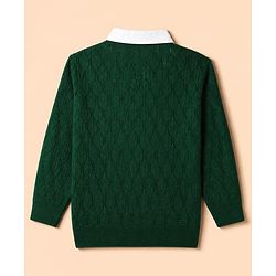 Pine Kids Knit Pullover with Full Sleeves & Cable Knit Design - Green