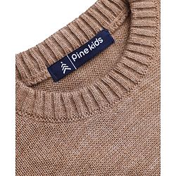 Pine Kids Knit Pullover with Full Sleeves and Striped Print in Green