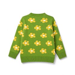 Pine Kids Knit Full Sleeves Pullover with Flower Design - Green