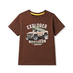 Pine Kids 100% Cotton Knit Half Sleeves T-Shirt with Truck Print - Brown
