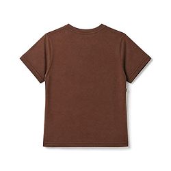 Pine Kids 100% Cotton Knit Half Sleeves T-Shirt with Truck Print - Brown